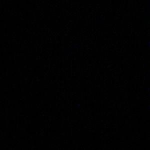 Meet your Posher, Ella